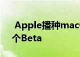  Apple播种macOSMojave10.14.6的第四个Beta