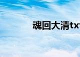 魂回大清txt新浪（魂回大清）