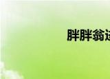 胖胖翁进化（胖胖翁）
