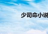 少司命小说（少司命喜欢谁）