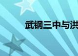 武钢三中与洪山高中（武钢三中）