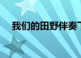 我们的田野伴奏下载（我们的田野伴奏）