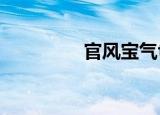 官风宝气txt（官风宝气）