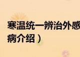 寒温统一辨治外感病（关于寒温统一辨治外感病介绍）