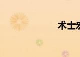 术士宏（术士宏）