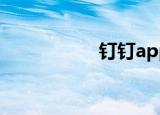 钉钉app（钉组词语）