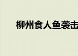 柳州食人鱼袭击人事件（柳州食人鱼）