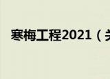寒梅工程2021（关于寒梅工程2021介绍）