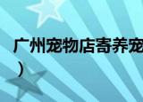 广州宠物店寄养宠物多少钱一天（广州宠物店）