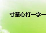 寸草心打一字一年级（寸草心打一字）