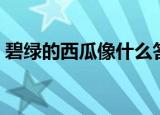 碧绿的西瓜像什么答案（碧绿的西瓜像什么）