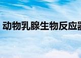 动物乳腺生物反应器（动物乳腺生物反应器）