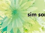 sim son（sim simi）