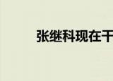 张继科现在干什么工作（张继奎）