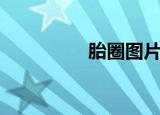 胎圈图片（胎圈用钢丝）