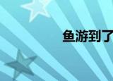 鱼游到了纸上（鱼游网）