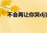 不会再让你哭dj完整版（不会再让你哭）
