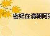 密妃在清朝阿狸小妃（密妃在清朝）
