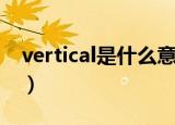 vertical是什么意思啊（vertical是什么意思）