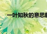 一叶知秋的意思解释（一叶知秋的意思）