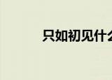 只如初见什么意思（只如初见）