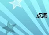 点淘（dt4纯铁）
