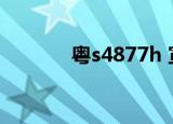 粤s4877h 宣判（粤s4877h）