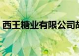 西王糖业有限公司胡哲（西王糖业有限公司）