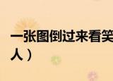 一张图倒过来看笑死人（一张图倒过来看吓死人）