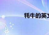 牦牛的英文（牦牛的英文）