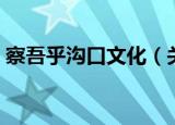 察吾乎沟口文化（关于察吾乎沟口文化介绍）