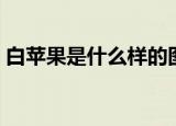 白苹果是什么样的图片（白苹果是什么意思）