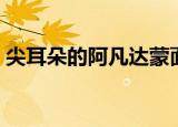 尖耳朵的阿凡达蒙面唱将（尖耳朵的阿凡达）