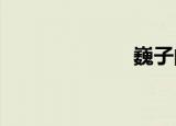 巍子的个人资料
