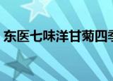东医七味洋甘菊四季都可以用吗（东医七味）