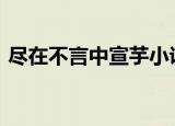 尽在不言中宣芋小说txt（尽在不言中 宣芋）