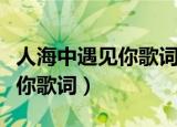 人海中遇见你歌词表达什么感情（人海中遇见你歌词）