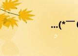 ...(*￣０￣)ノ（00）