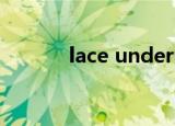lace underwear（lace wig）