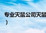 专业灭鼠公司灭鼠服务（专业灭鼠公司多少钱）