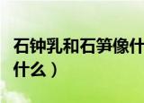 石钟乳和石笋像什么排比句（石钟乳和石笋像什么）