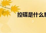 控碟是什么意思（控碟是什么）