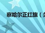 察哈尔正红旗（关于察哈尔正红旗介绍）