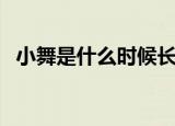 小舞是什么时候长大的（小舞是什么身份）