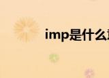 imp是什么意思（impk论坛）