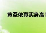 黄圣依真实身高158（黄圣依真实身高）