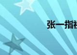 张一指视频（张一指）