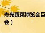 寿光蔬菜博览会巨型蔬菜图片（寿光蔬菜博览会）