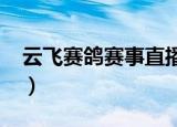 云飞赛鸽赛事直播2017（云飞赛鸽赛事直播）