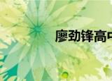 廖劲锋高中照片（廖劲锋）